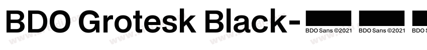 BDO Grotesk Black字体转换